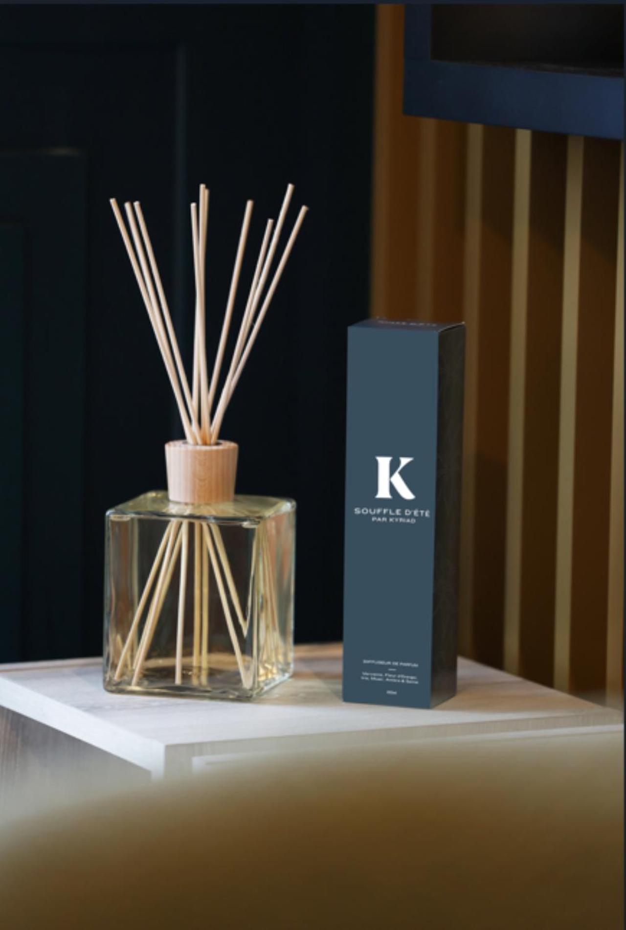 Kyriad Prestige Vannes Centre-Palais Des Arts Buitenkant foto